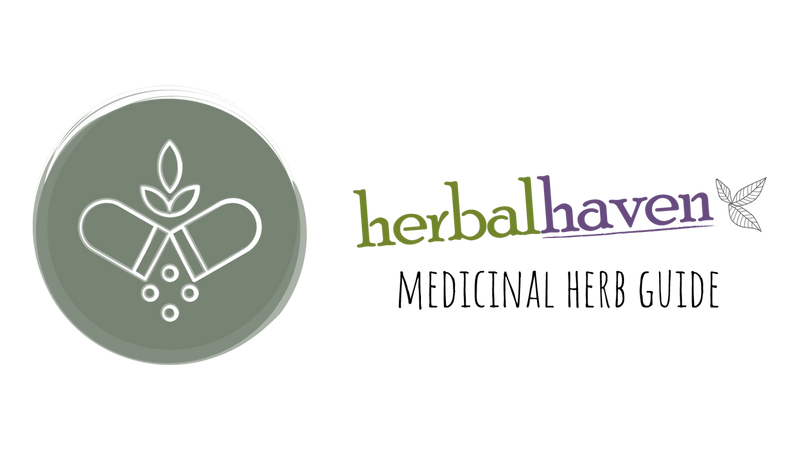 Medicinal Herbs: Betony
