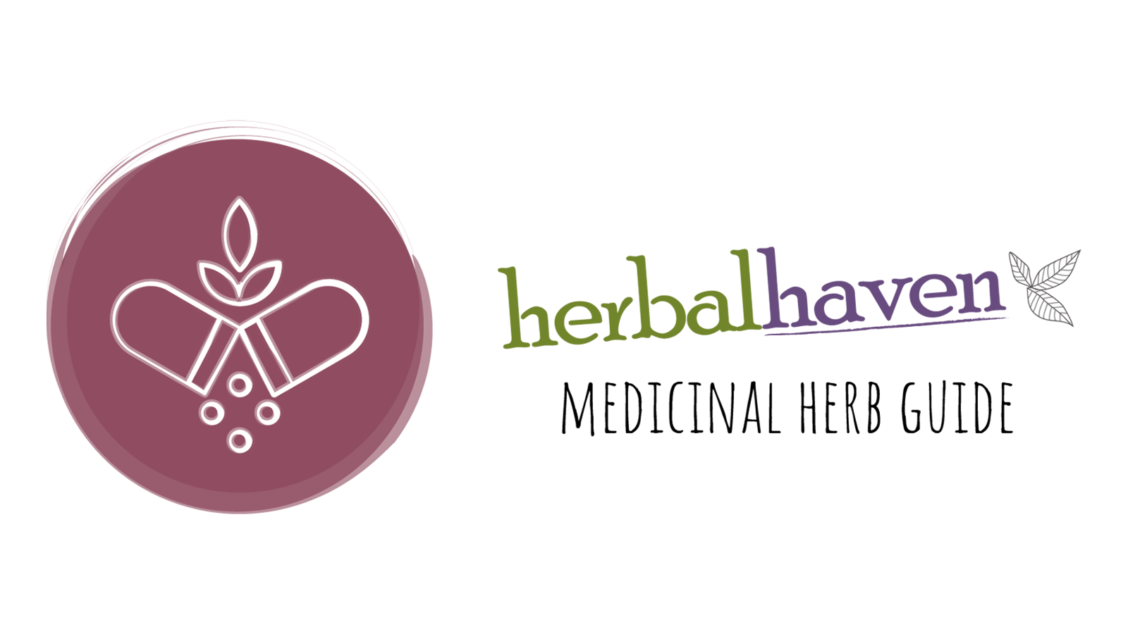 Medicinal Herbs Feverfew Herbal Haven