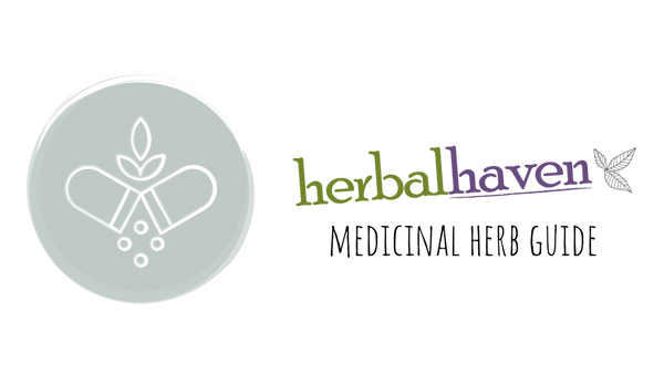 Medicinal Herbs: Marsh Mallow