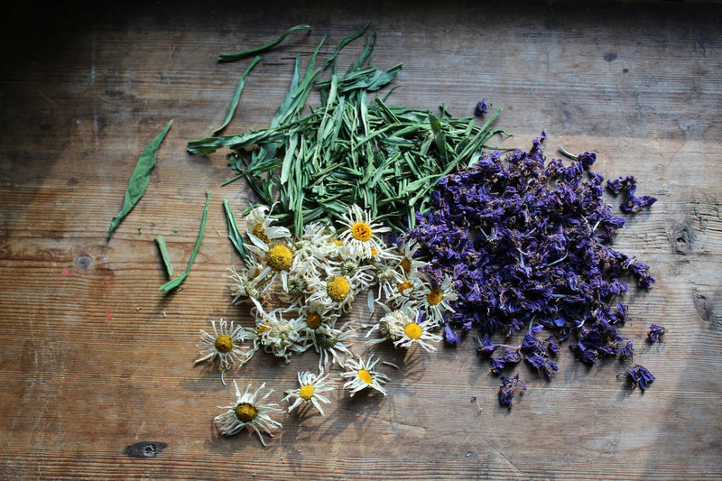 The Complete Guide to Preserving Your Home-Grown Herbs